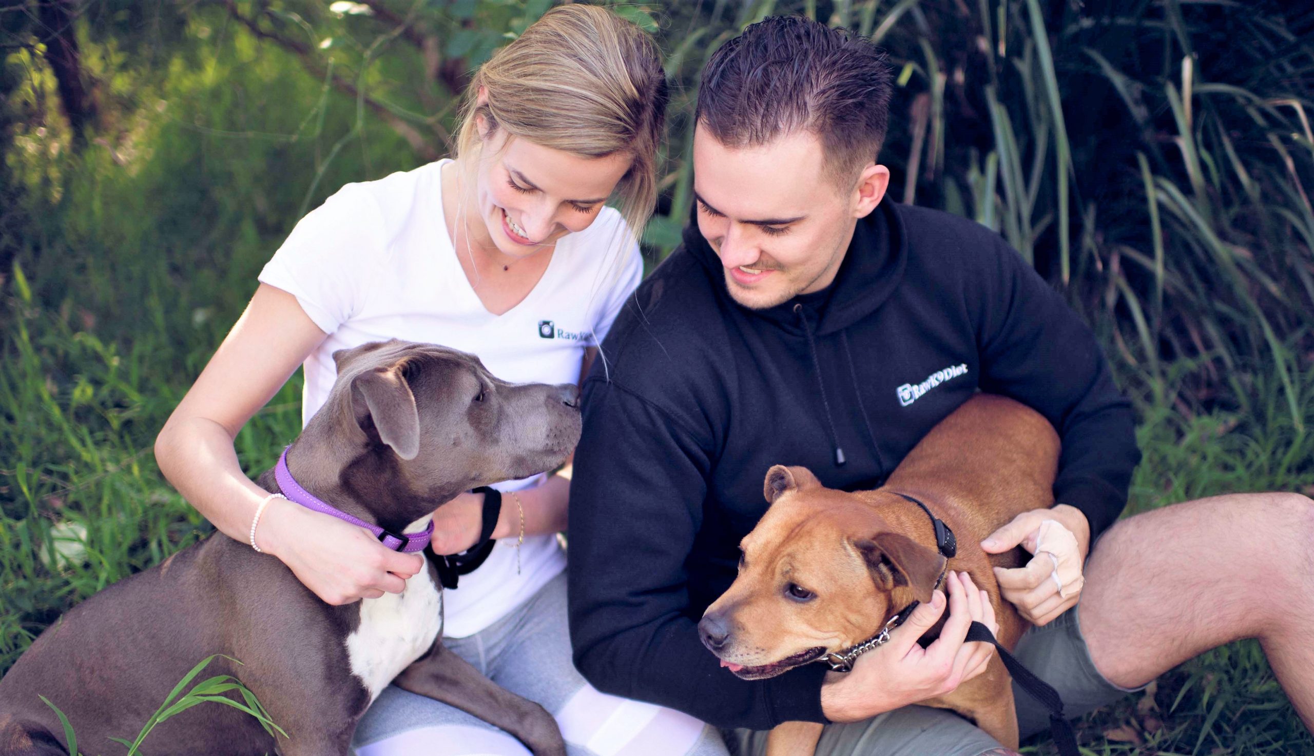 Get Started On Raw Food Diet For Dogs
